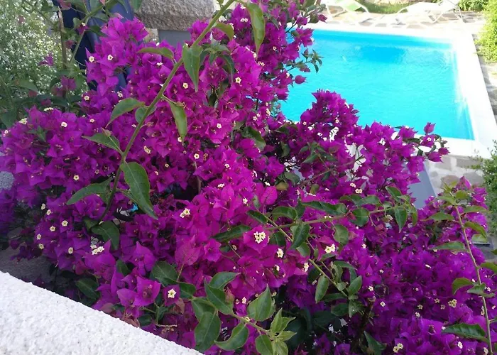 Casa Zeralda, Privater Pool Budoni